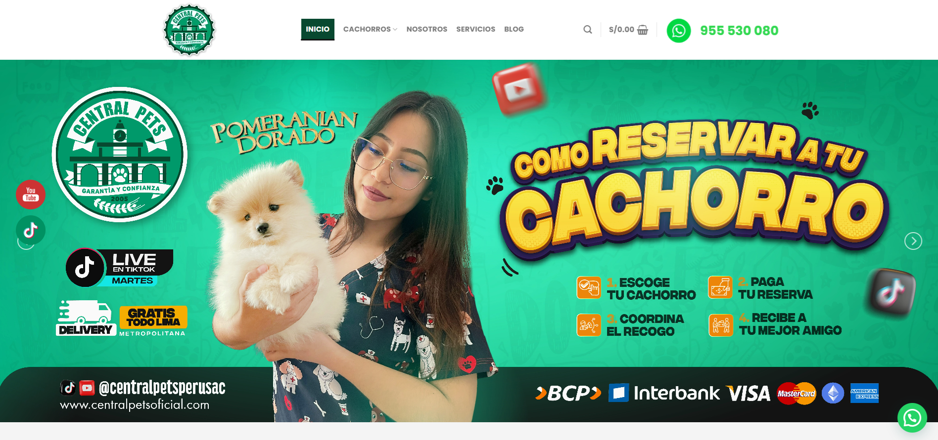 Web Cachorros.pe